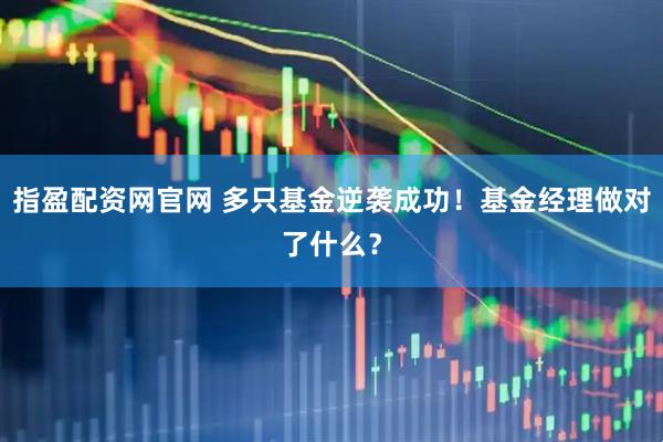 指盈配资网官网 多只基金逆袭成功!基金经理做对了什么?